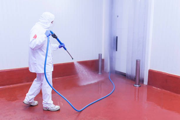 Best Fleet Vehicle Washing  in Warner Robins, GA